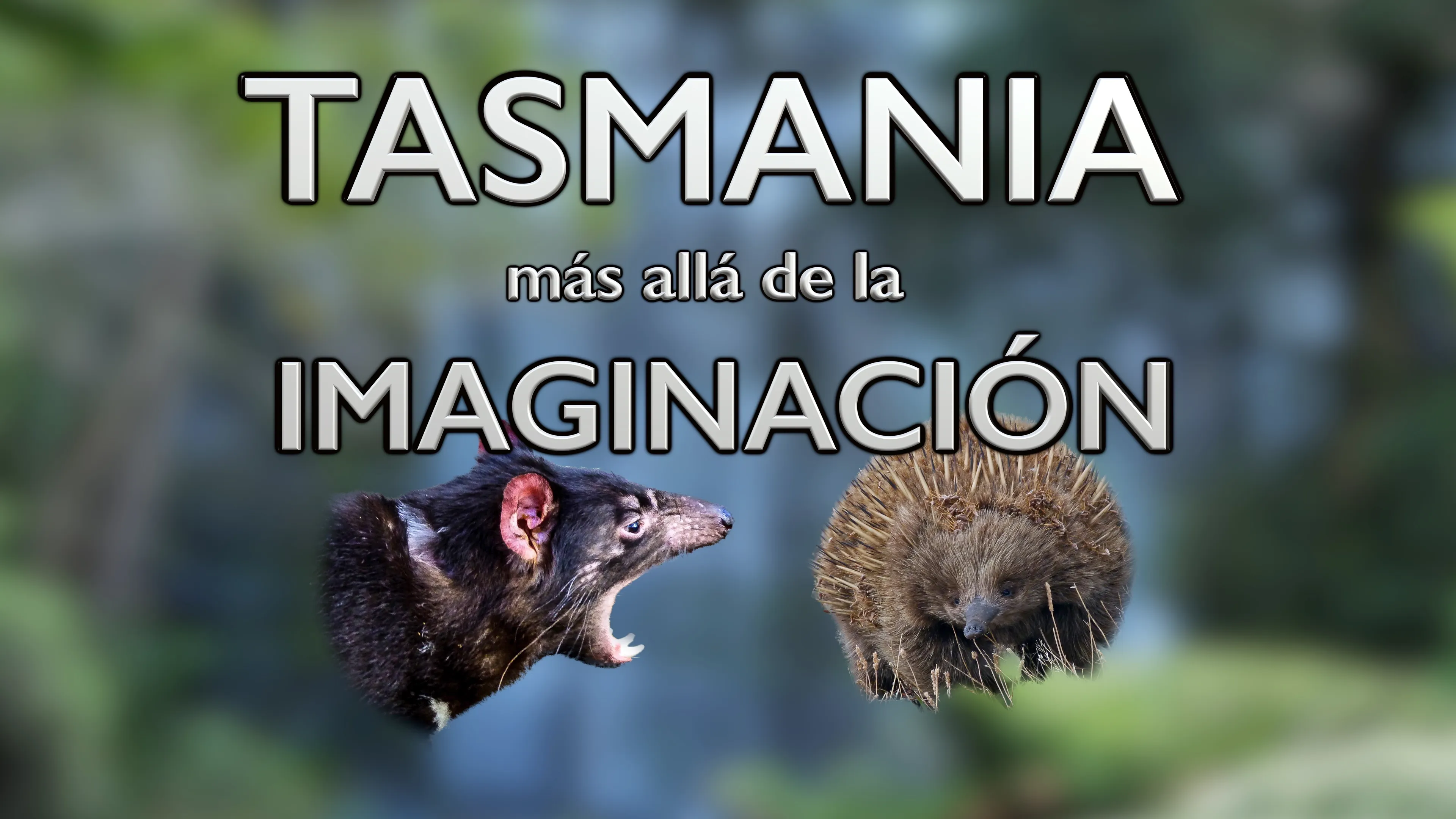 Tasmania, más allá de la Imaginación poster